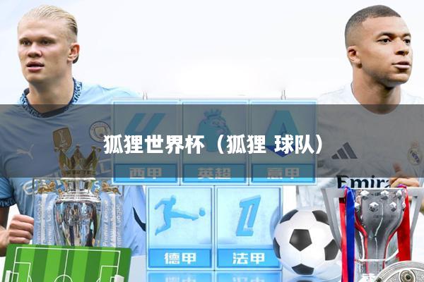 狐狸世界杯(狐狸 球队)