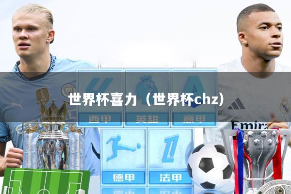 世界杯喜力(世界杯chz)