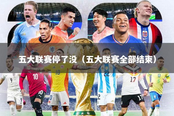 五大联赛停了没（五大联赛全部结束）