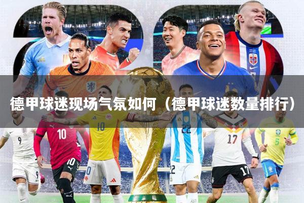 德甲球迷现场气氛如何(德甲球迷数量排行)