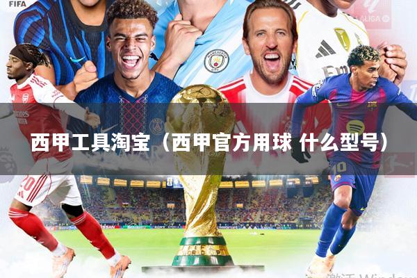 西甲工具淘宝(西甲官方用球 什么型号)