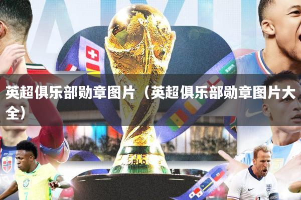 英超俱乐部勋章图片(英超俱乐部勋章图片大全)