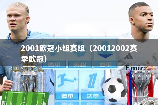 2001欧冠小组赛组（20012002赛季欧冠）